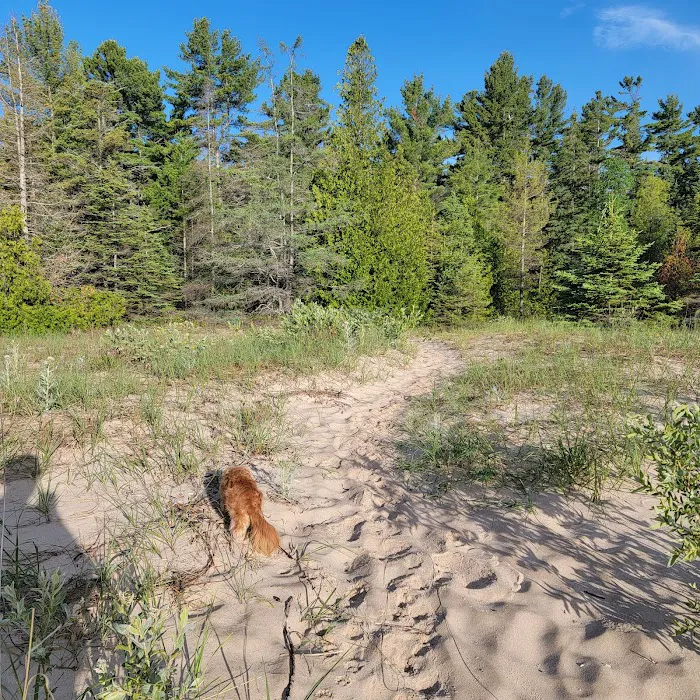 DeTour State Forest Campground 9