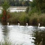 Paradise Point RV Park