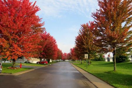 Huron Estates