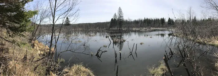 Lost Lake Campsite 2