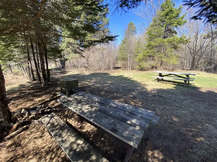 Lost Lake Campsite 5