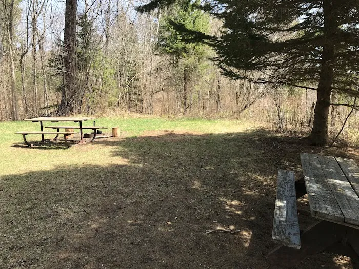 Lost Lake Campsite 8