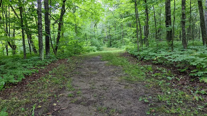 Campground Jay Cooke State Park 7