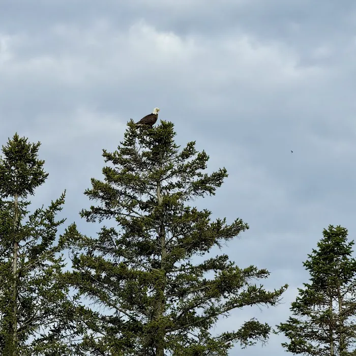 Knife Island Campground 10