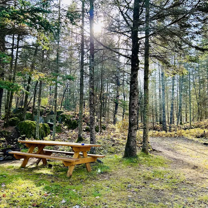 Knife Island Campground 3