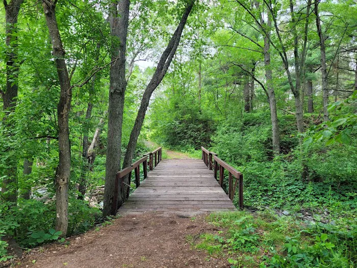 Knife Island Campground 7