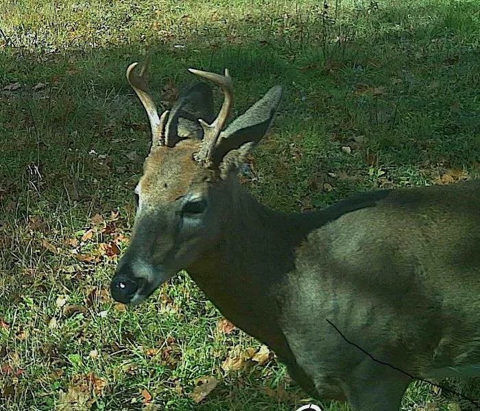 Crooked Creek Outpost, LLC 4