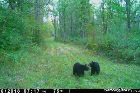 Crooked Creek Outpost, LLC