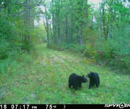 Crooked Creek Outpost, LLC