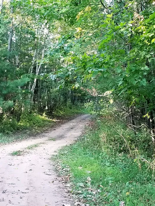 Springvale Campground 6