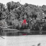 Barnum City Park Campground