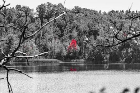 Barnum City Park Campground