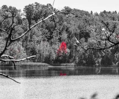 Barnum City Park Campground