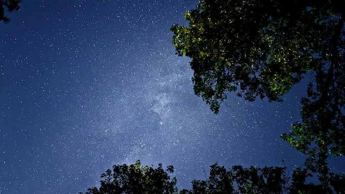 Moose Lake State Park Campground 5