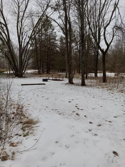 Moose Lake State Park Campground 8