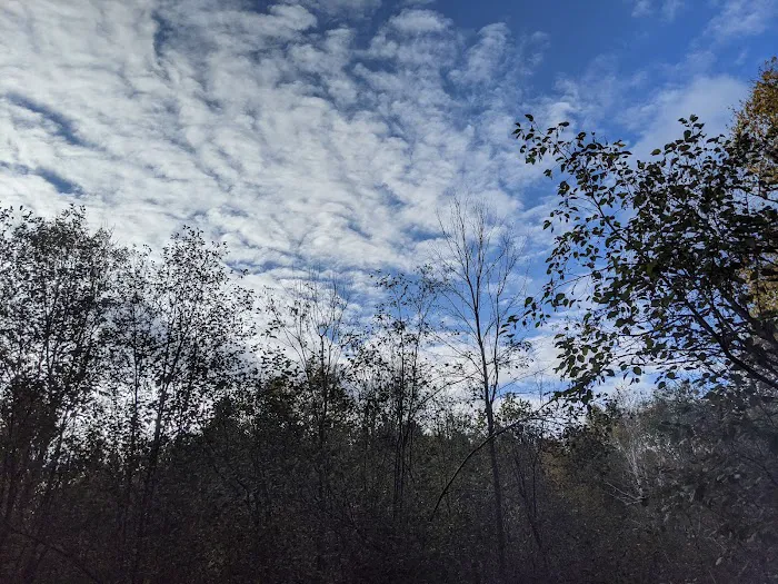 Moose Lake State Park Campground 10