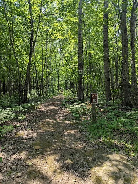 Moose Lake State Park Campground 7