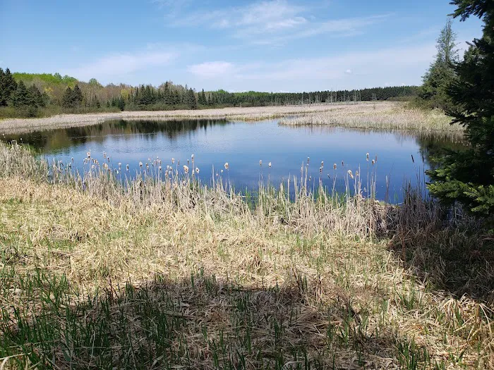 Moose Lake State Park Campground 1