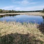 Moose Lake State Park Campground