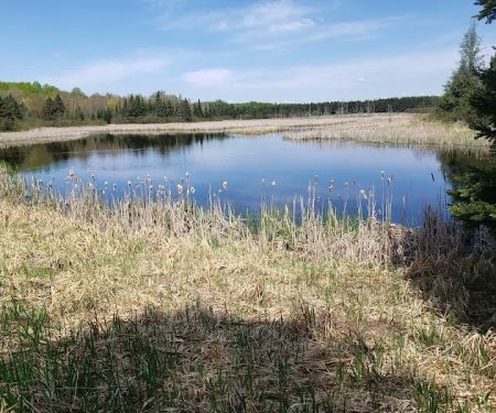 Moose Lake State Park Campground