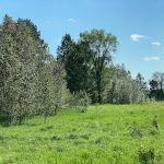 Group Campground