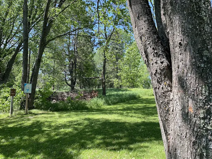 Group Campground 7