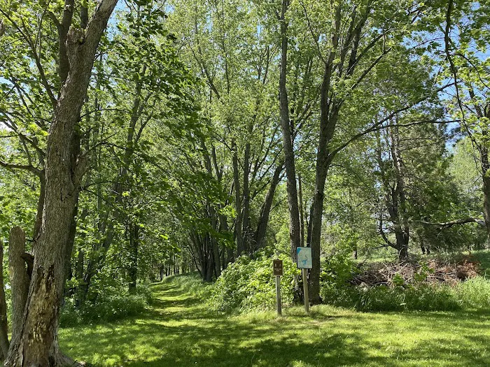 Group Campground 8