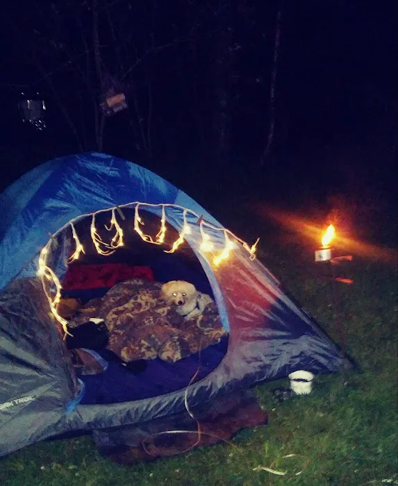 Red Fox Campground & RV Park 7