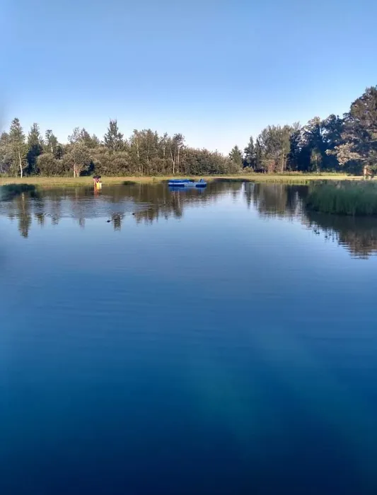 Ringler Family Campground 7