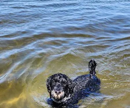 Lake Ripley Campgrounds