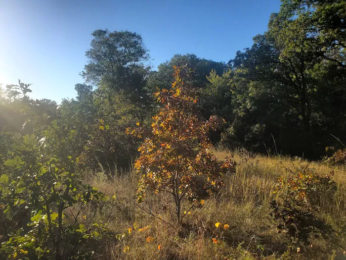 Ann Lake Campground 7