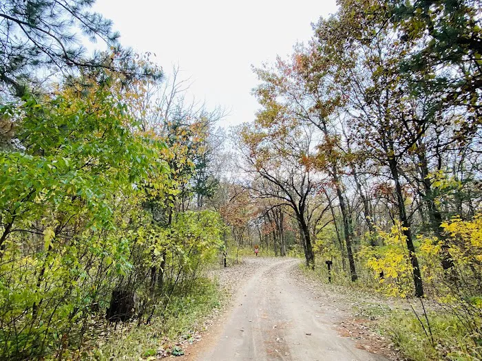 Ann Lake Campground 5