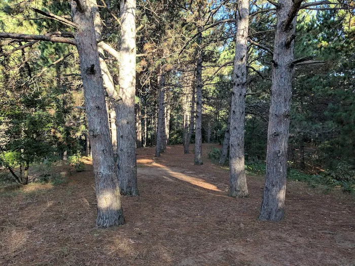 Ann Lake Campground 2