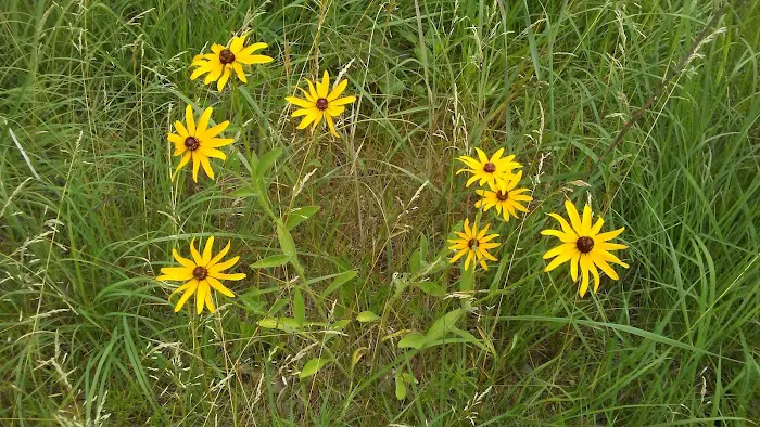 Ann Lake Campground 10