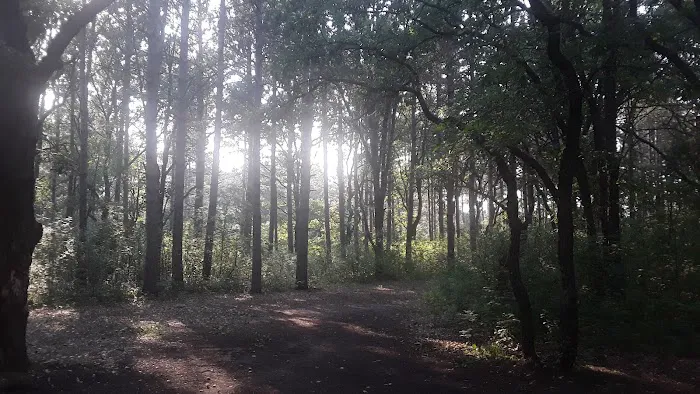 Ann Lake Campground 6