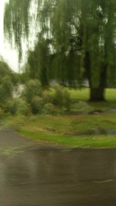 Eastview Mobile Home Park 2