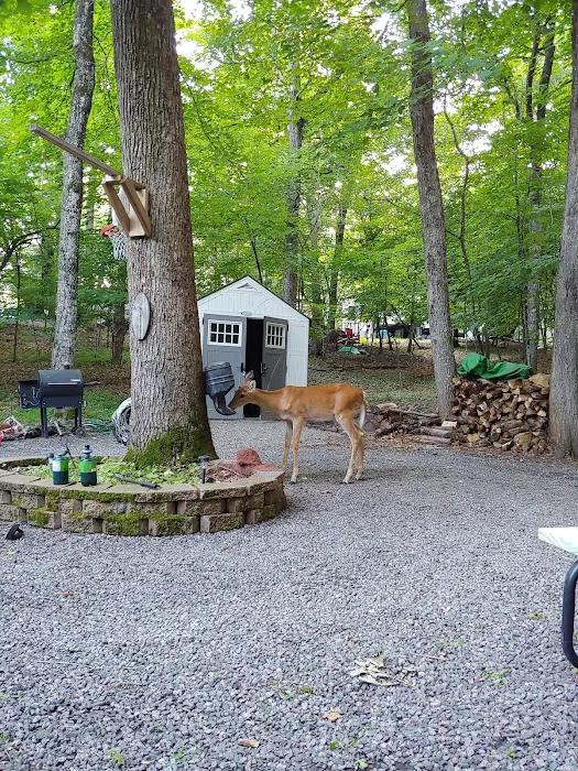 Clearwater Forest Resort Community 8