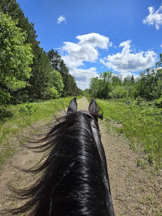 Bob Dun Horse Campground 1