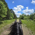 Bob Dun Horse Campground