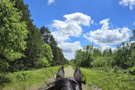 Bob Dun Horse Campground