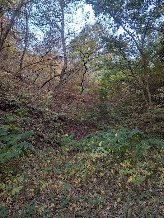 Brickyard Hill Campground - Notth 8