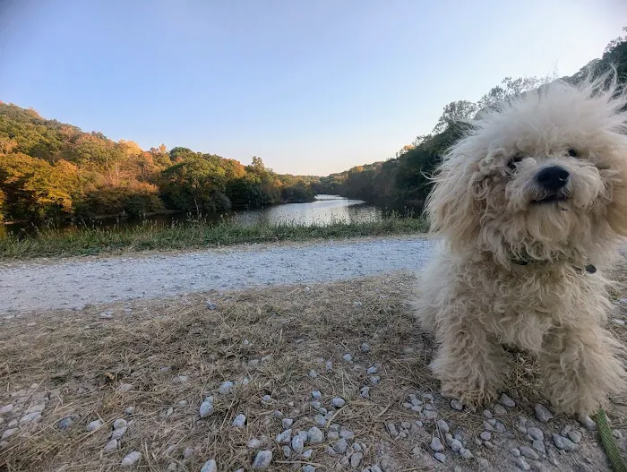 Brickyard Hill Campground - Notth 3