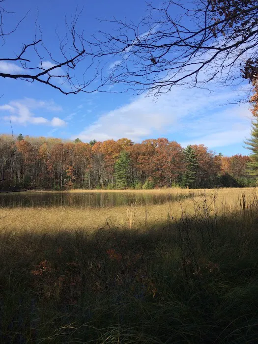 Guernsey Lake Campground 4