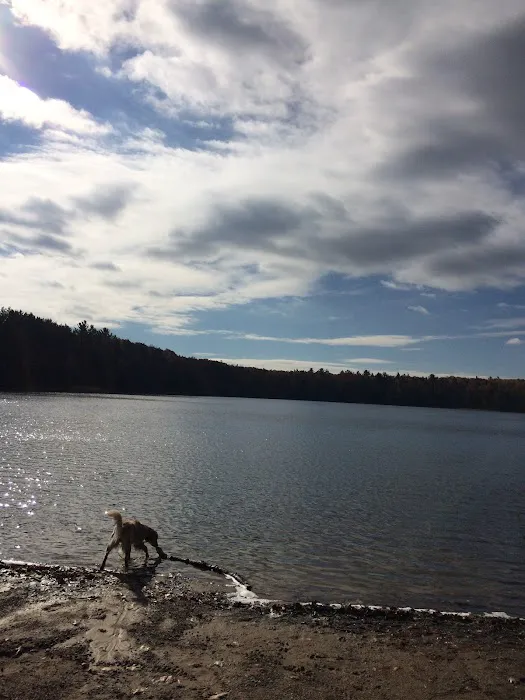 Guernsey Lake Campground 5