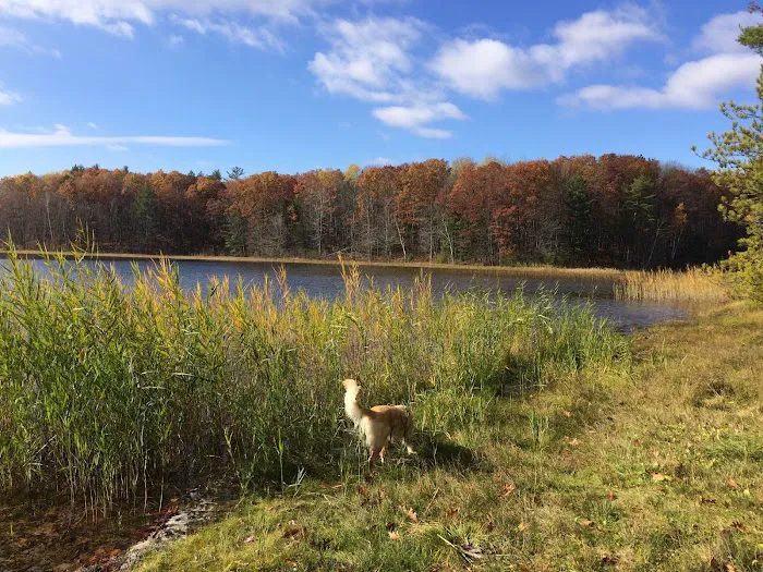 Guernsey Lake Campground 9