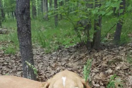 Guernsey Lake Campground
