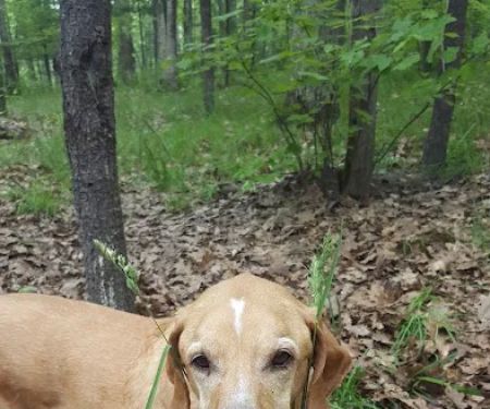 Guernsey Lake Campground