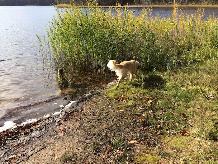 Guernsey Lake Campground 6