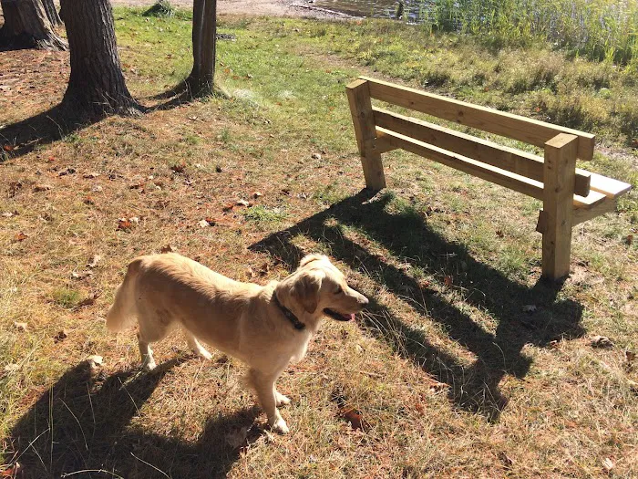 Guernsey Lake Campground 10