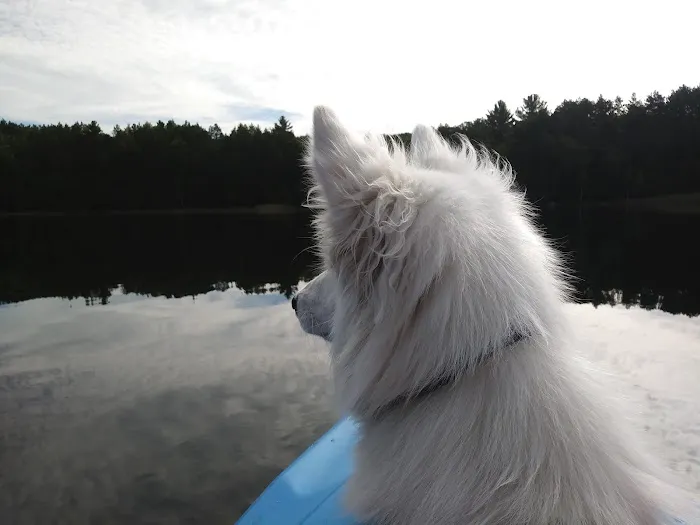 Guernsey Lake State Forest Campground 5